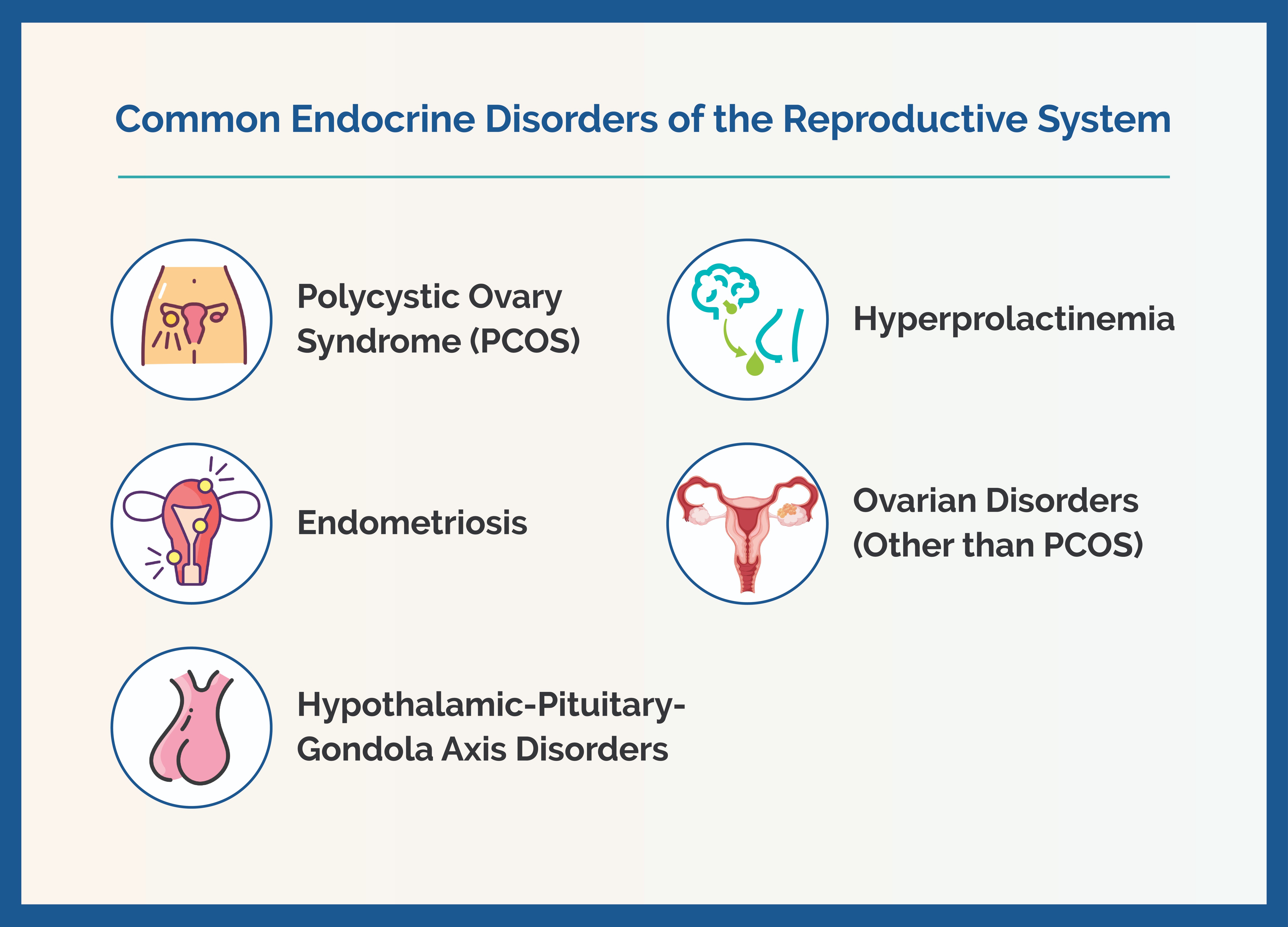 Reproductive Endocrine Disorders Causes And Treatments